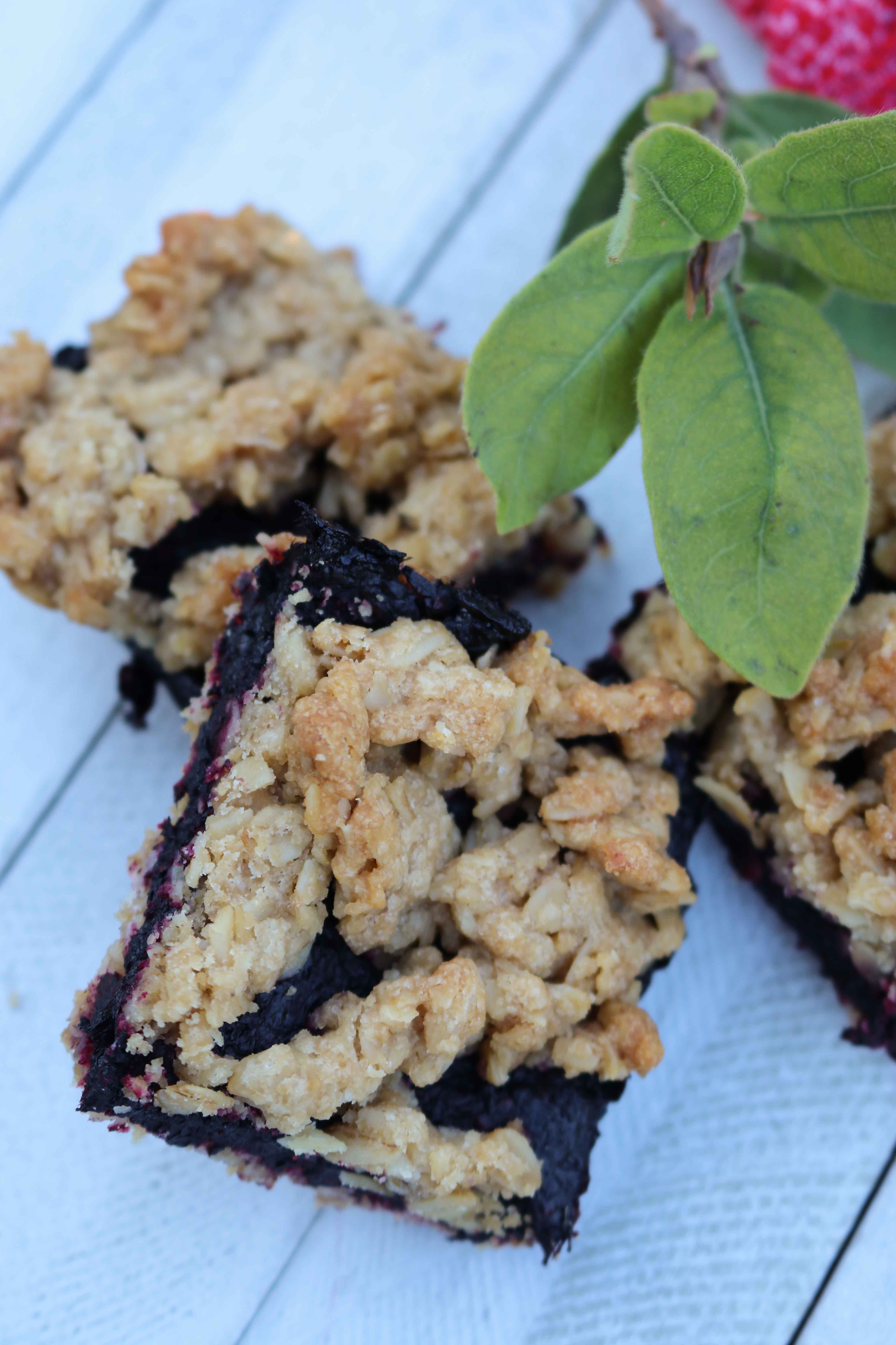 Haskap Oatmeal Squares