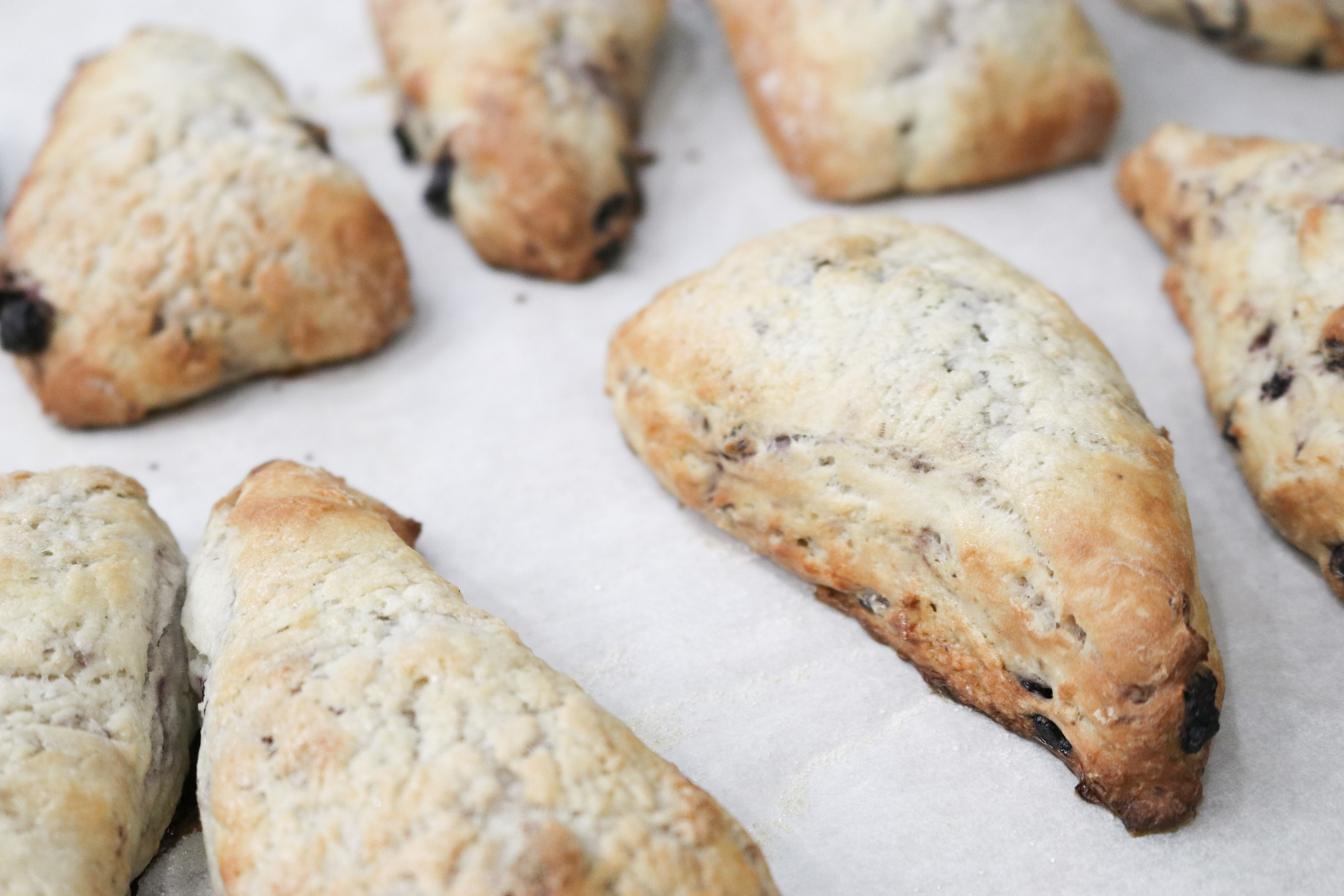 Yummy Haskap Scones